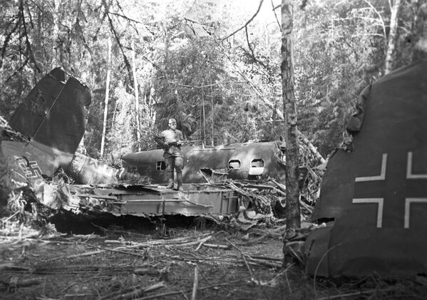 Сбитый советскими зенитчиками немецкий истребитель в подмосковном лесу - Sputnik Южная Осетия