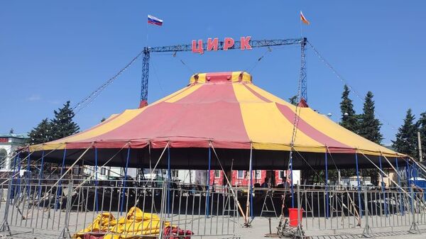 Воздушные гимнасты и акробаты: руководитель цирка рассказал о предстоящих выступлениях - Sputnik Южная Осетия