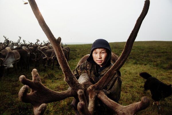 Дети Арктики - Sputnik Южная Осетия