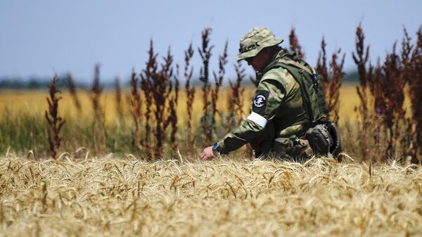 Сбор урожая пшеницы в Запорожской области - Sputnik Южная Осетия