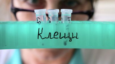 Клещи