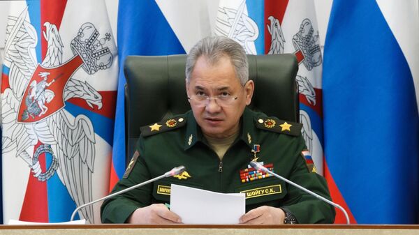 Министр обороны РФ Сергей Шойгу  - Sputnik Южная Осетия