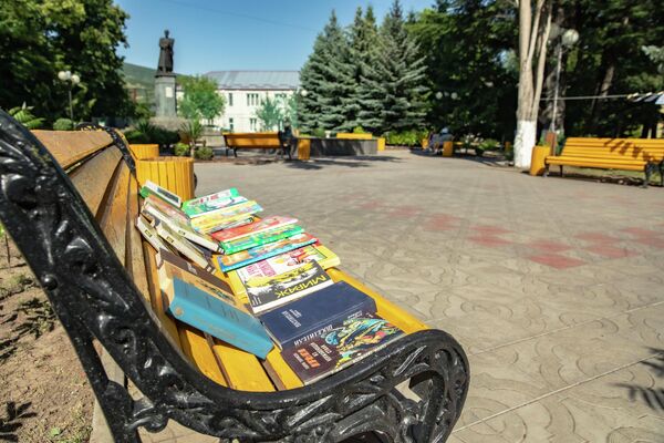 В этом году жители Цхинвала могут принести и книги, а также забрать себе приглянувшиеся - Sputnik Южная Осетия