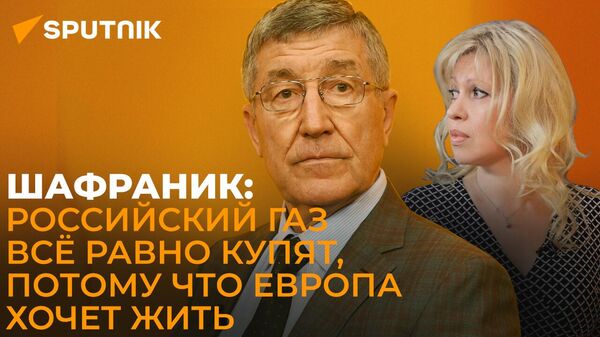 Мечтателей из ЕС скоро поставят на место: Шафраник о способности России противостоять санкциям

 - Sputnik Южная Осетия