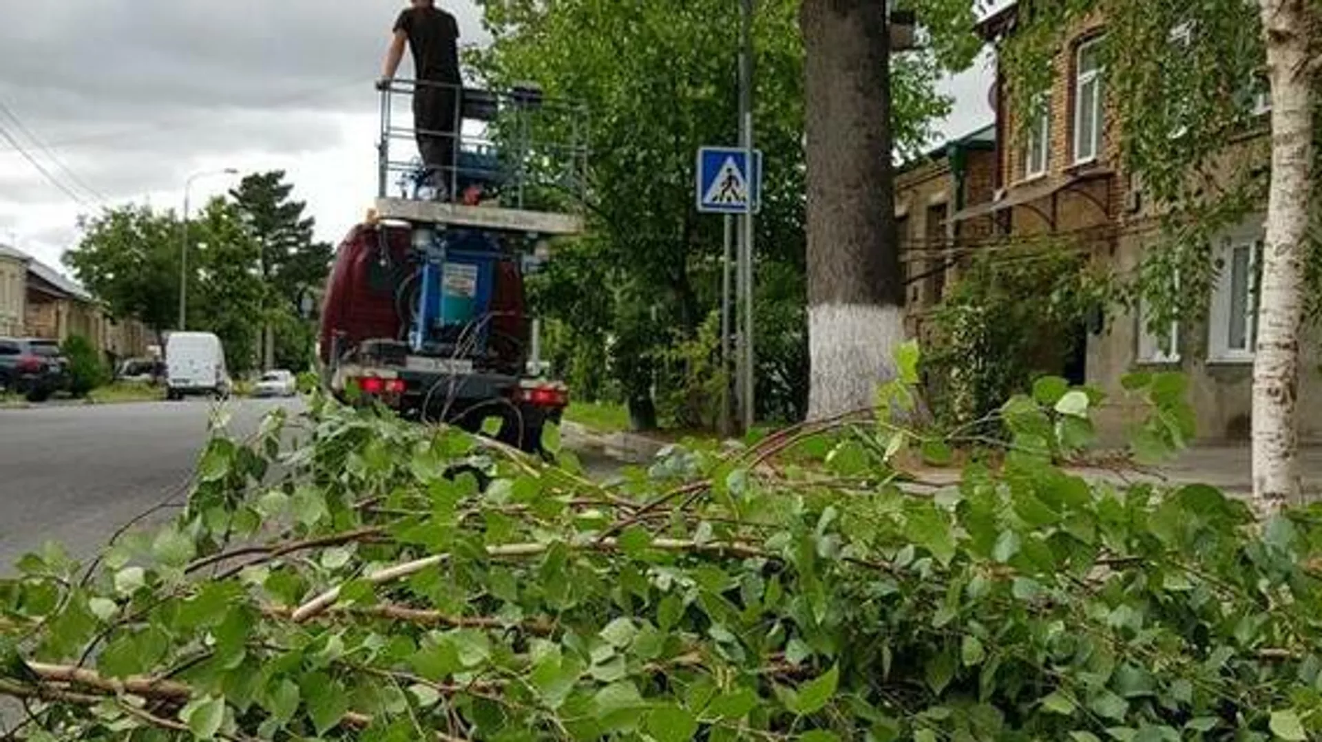 Сотрудники ЖКХ обеспечивают видимость дорожных знаков и светофоров