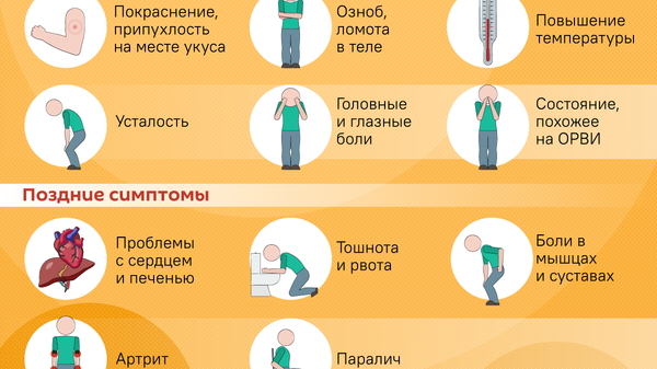 Боррелиоз и другие болезни: чем опасны клещи - Sputnik Южная Осетия