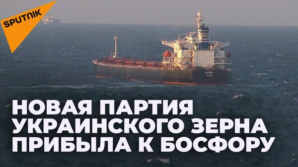 Грузовое судно Glory с украинским зерном на борту прибыло в Стамбул - Sputnik Южная Осетия