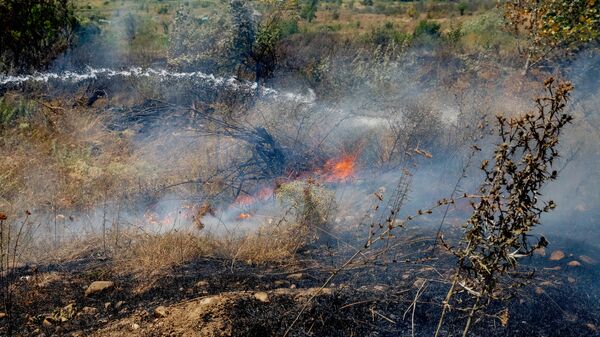 Возгорание сухостоя близ Цхинвала - Sputnik Южная Осетия