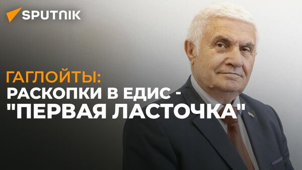 Роберт Гаглойты: для проведения раскопок в Южной Осетии необходимо должное финансирование - Sputnik Южная Осетия
