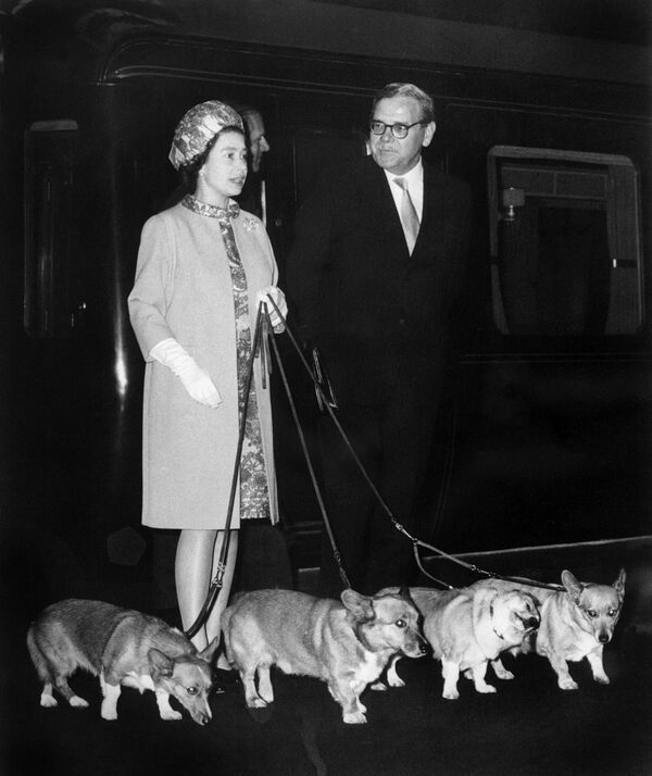 Королева Елизавета II на вокзале Кингс-Кросс в Лондоне со своими четырьмя собаками корги  - Sputnik Южная Осетия