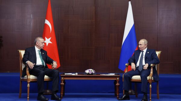 Президент РФ В. Путин встретился с президентом Турции Р. Т. Эрдоганом - Sputnik Южная Осетия