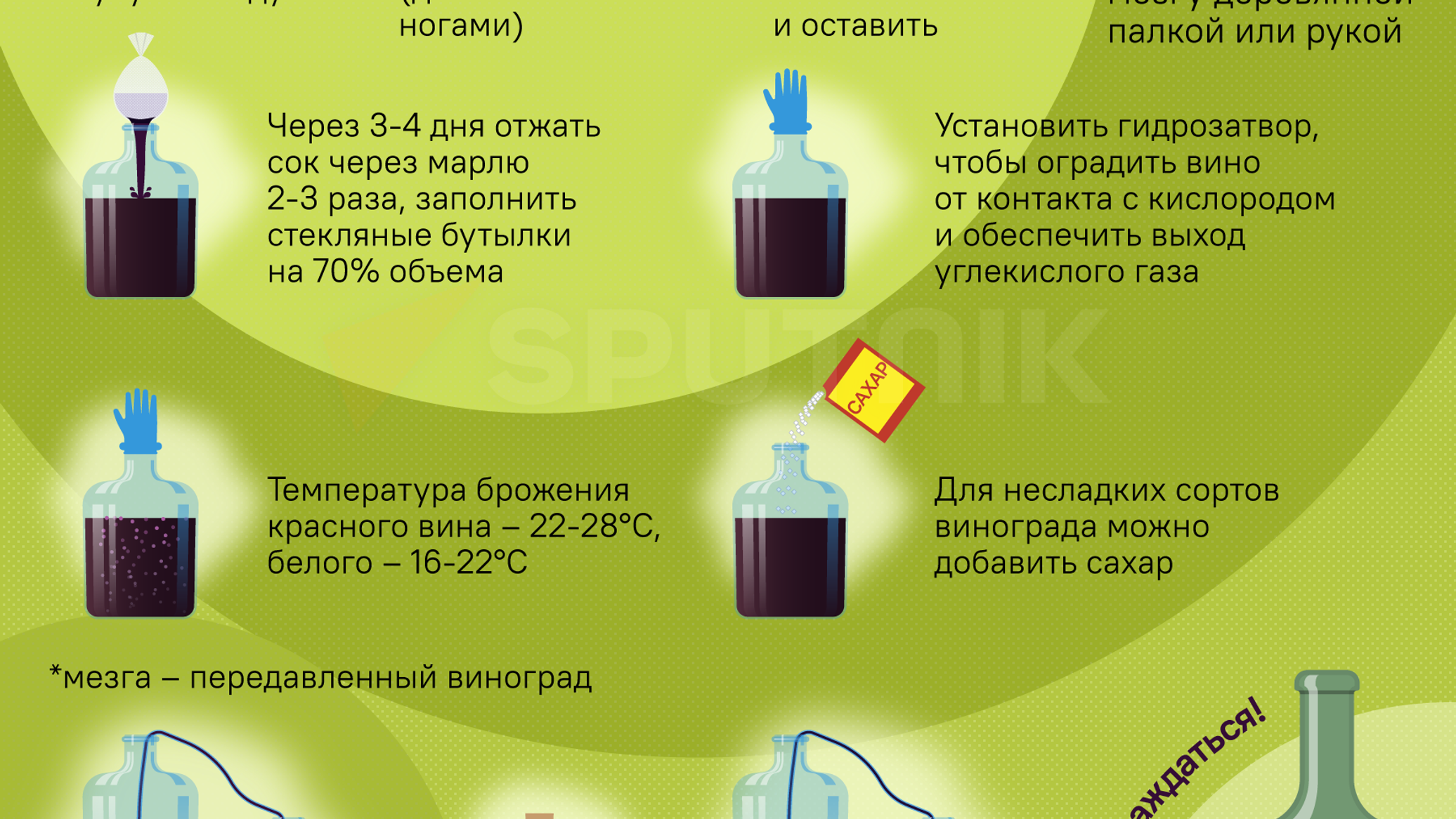 Температура брожения вина. Рецепт домашнего вина. Вакуумный перелив вина. Вино от семьи. Потребители вина.