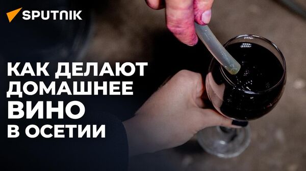 История создания осетинского вина: с виноградной лозы в бокал - Sputnik Южная Осетия