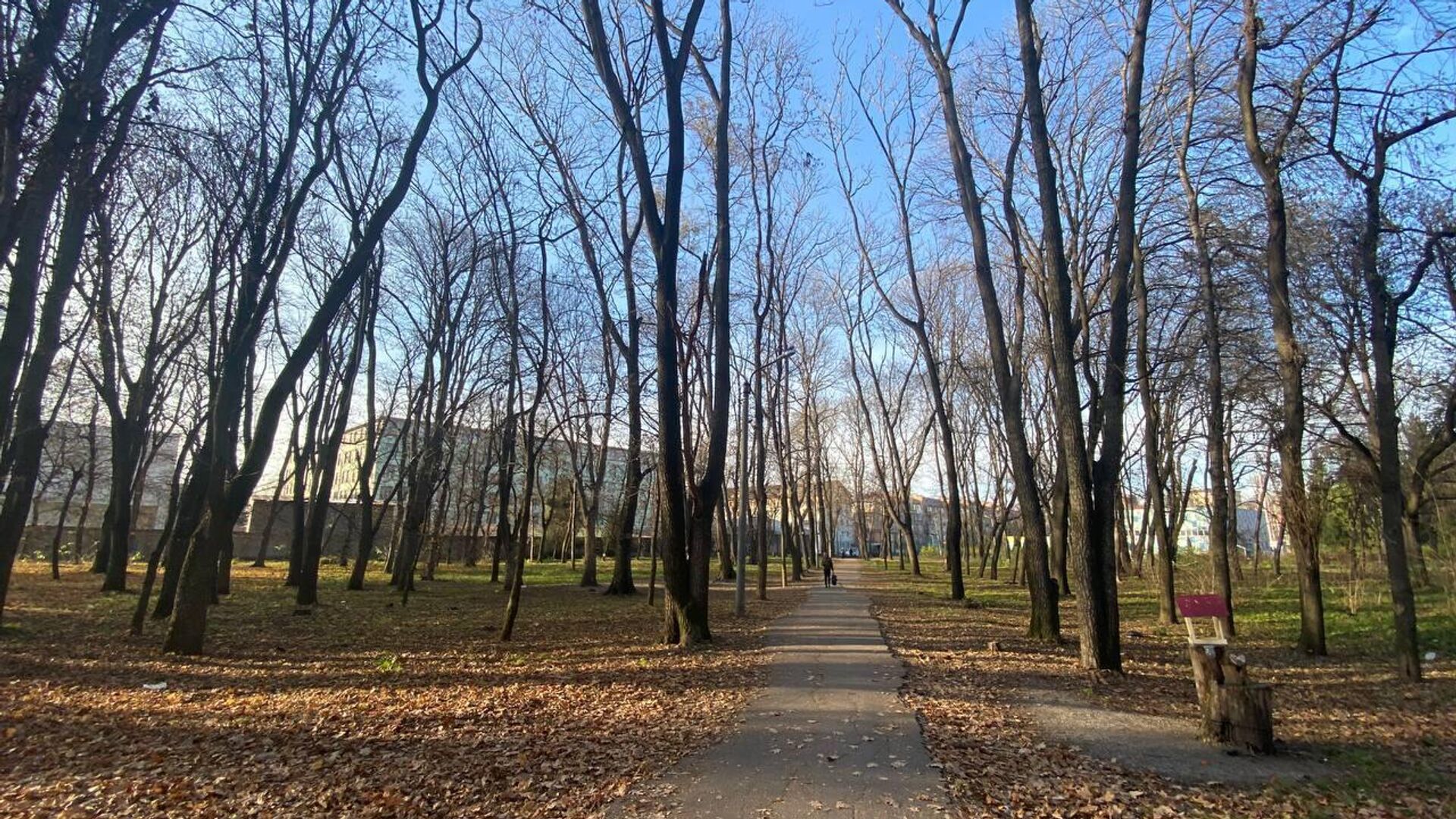Комсомольский парк во Владикавказе - Sputnik Южная Осетия, 1920, 22.11.2022
