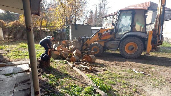В Ленингорском районе 23 семьи получили дрова на зиму - Sputnik Южная Осетия