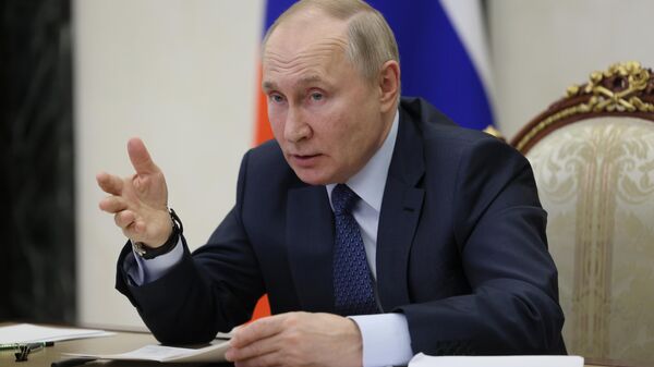 Президент РФ В. Путин провел заседание Совета по развитию гражданского общества и правам человека - Sputnik Южная Осетия