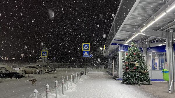 Снегопад во Владикавказе и его последствия - Sputnik Южная Осетия