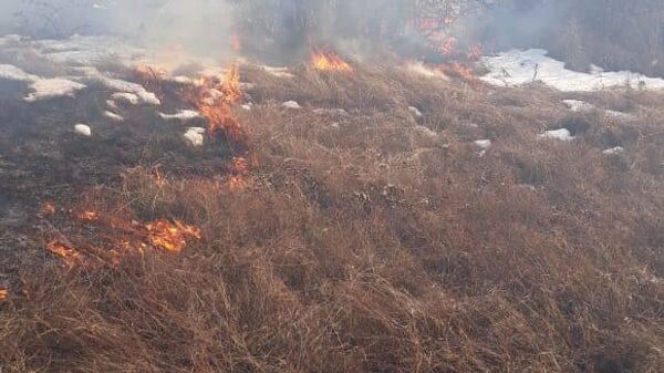 Возгорание сухостоя в селе Еред Цхинвальского района - Sputnik Южная Осетия