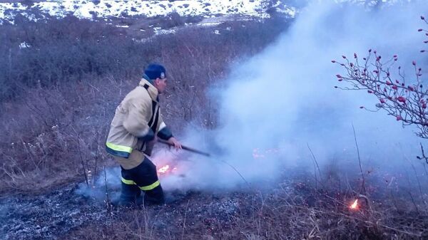 Пожарные МЧС Южной Осетии погасили возгорание сухостоя в селе Хелчуа Цхинвальского района - Sputnik Южная Осетия