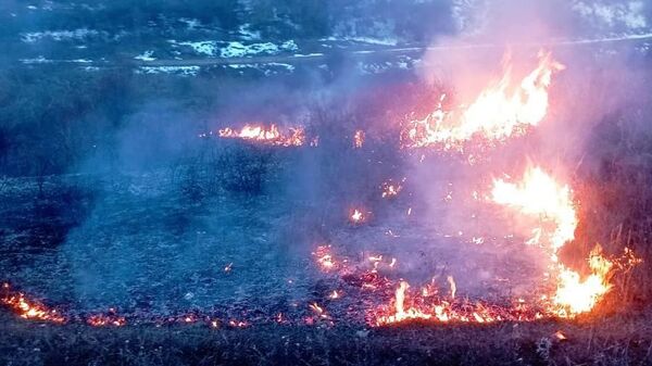 Пожарные МЧС Южной Осетии погасили возгорание сухостоя в селе Хелчуа Цхинвальского района - Sputnik Южная Осетия