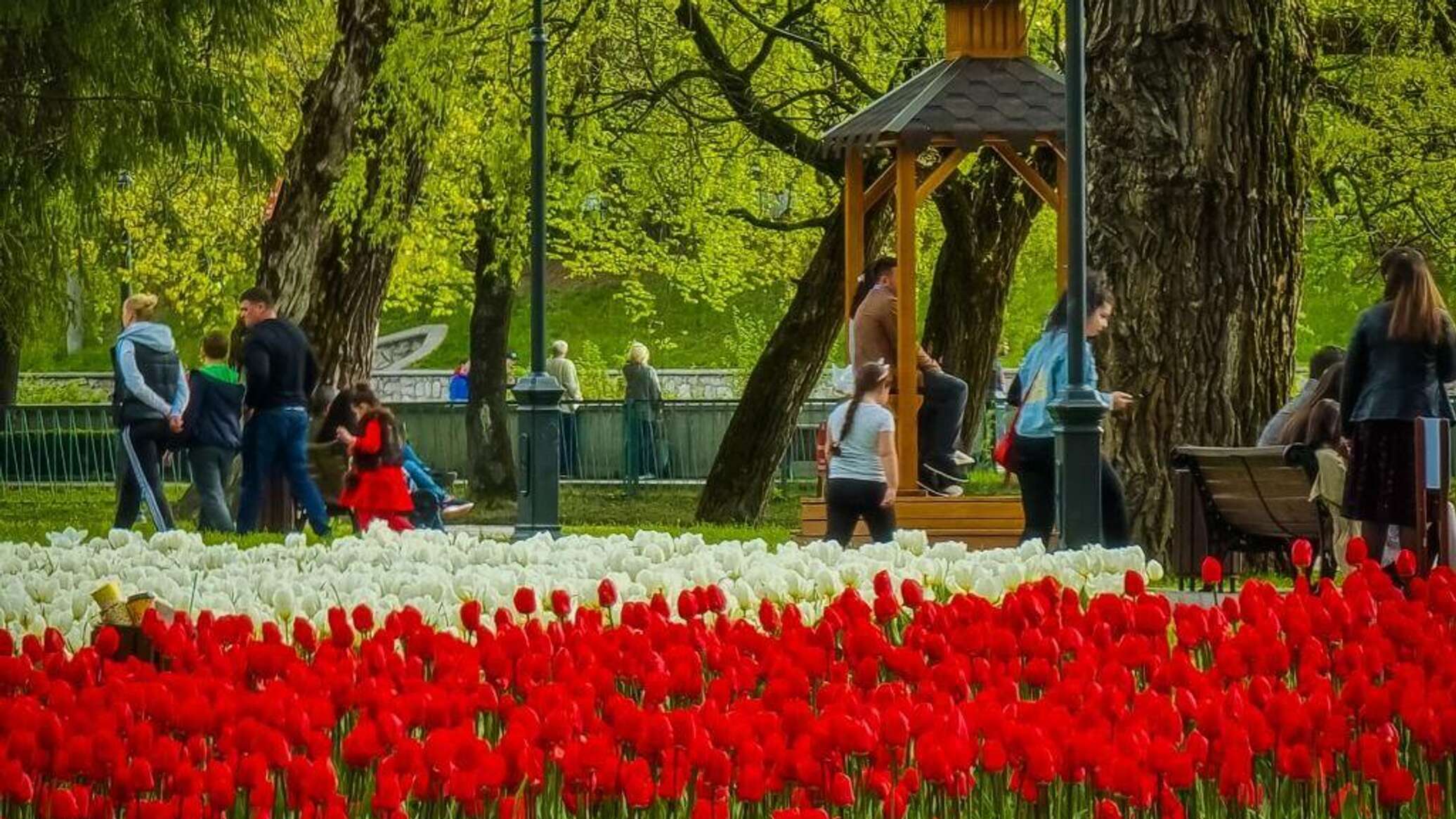 Весенняя 9 владикавказ. Владикавказ весной. Хатта Владикавказ Весенняя. Парк нартон Владикавказ
