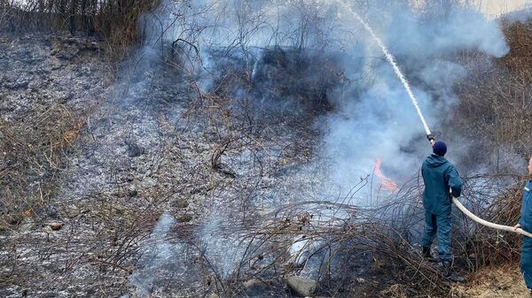 На улице Осетинской в Цхинвале в понедельник утром произошло возгорание сухостоя - Sputnik Южная Осетия