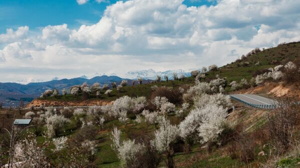 Весна в Южной Осетии - Sputnik Южная Осетия