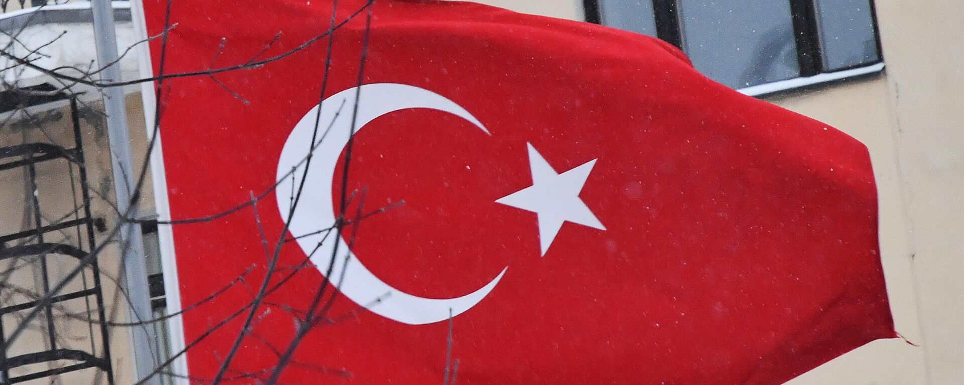 флаг Турции - Sputnik Южная Осетия, 1920, 07.08.2023