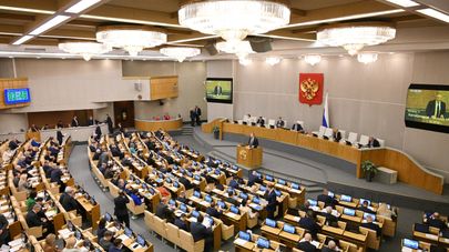 Пленарное заседание Госдумы России. Архивное фото 