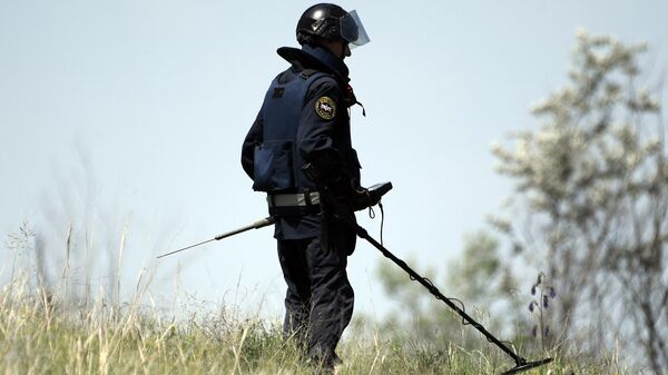 Сапер Центра по проведению спасательных операций особого риска Лидер. Архивное фото  - Sputnik Южная Осетия