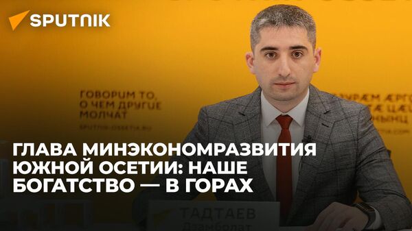 Дзамболат Тадтаев о том, как природные ресурсы помогут развитию экономики Южной Осетии - Sputnik Южная Осетия