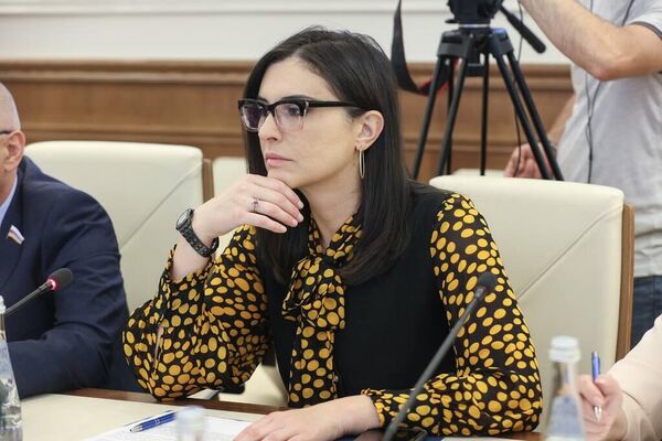 Совместное заседание Комиссии по сотрудничеству Парламента РЮО и Совфеда РФ  - Sputnik Южная Осетия