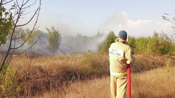 Возгорание сухостоя в Знаурском районе - Sputnik Южная Осетия