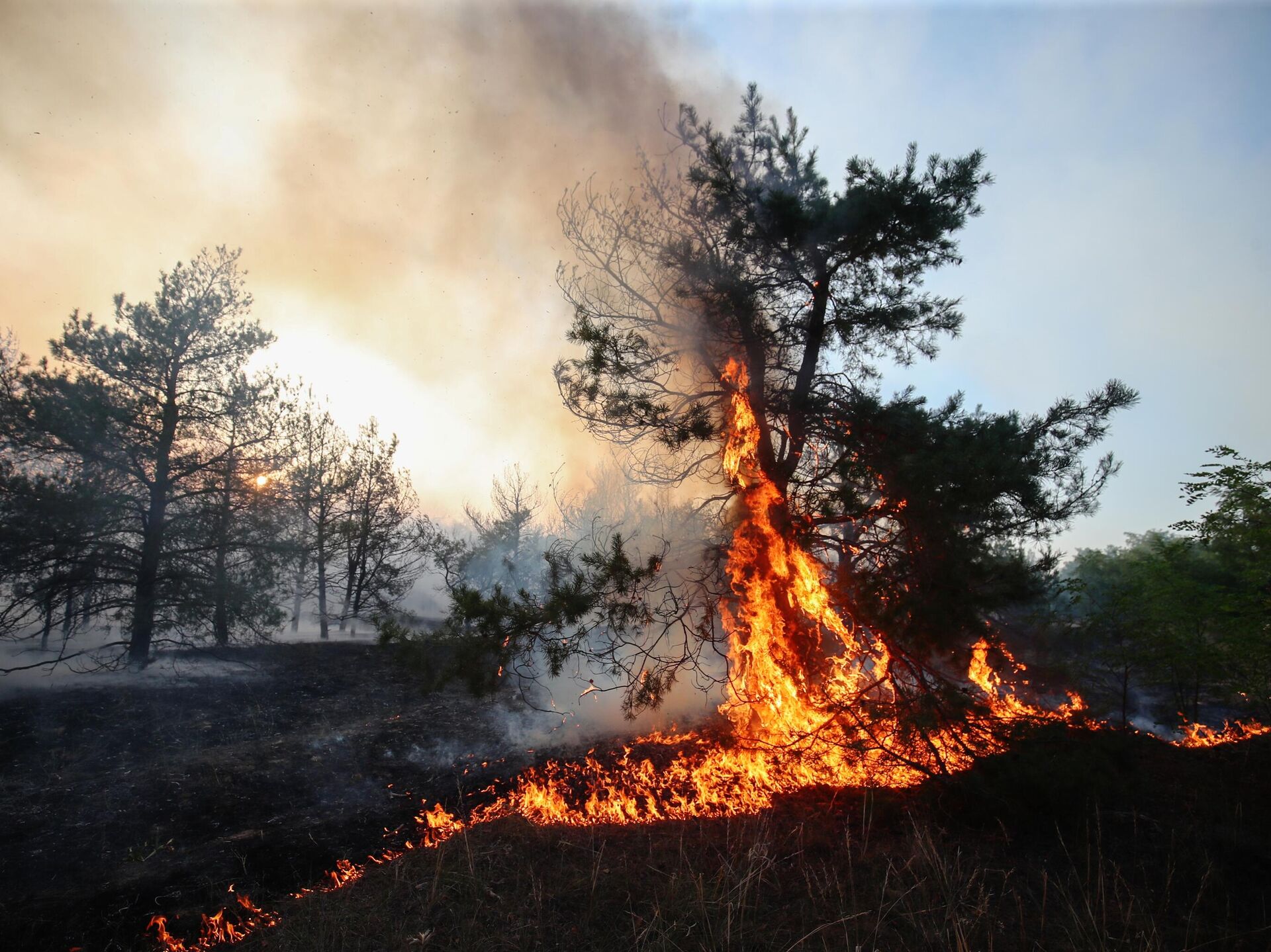 Пик пожар. @Pik Лесные пожары. Челябинские Лесные пожары 2021.