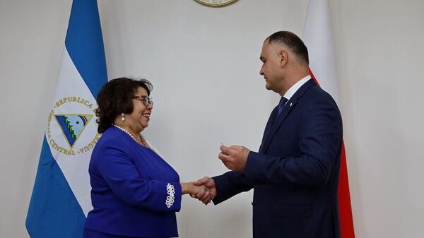 Встреча с делегацией Республики Никарагуа - Sputnik Южная Осетия