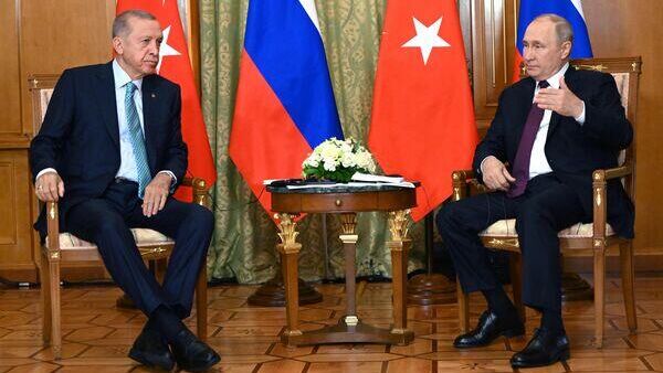 Прошли в дружественной обстановке: эксперт об итогах встречи президента России и Турции - Sputnik Южная Осетия
