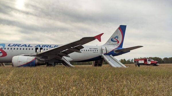 Пассажирский самолет совершил вынужденную посадку в Новосибирской области  - Sputnik Южная Осетия