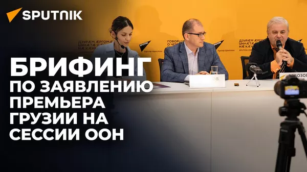 Адресовано всем, кроме осетин и абхазов: эксперты о заявлении грузинского премьера в ООН - Sputnik Южная Осетия