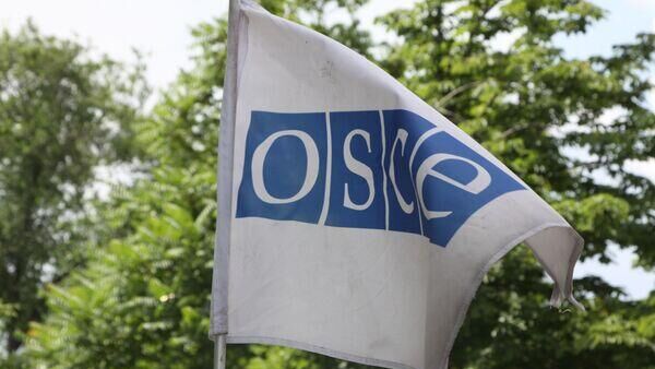 Площадка для ведения информационной войны: эксперт о деятельности ОБСЕ - Sputnik Южная Осетия
