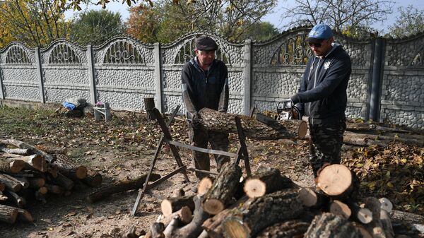Заготовка дров местными жителями в Молдавии. Архивное фото - Sputnik Южная Осетия