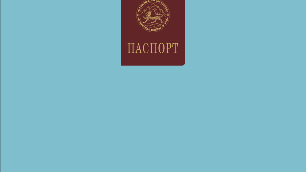 Что делать, если потерялся паспорт Южной Осетии - Sputnik Южная Осетия