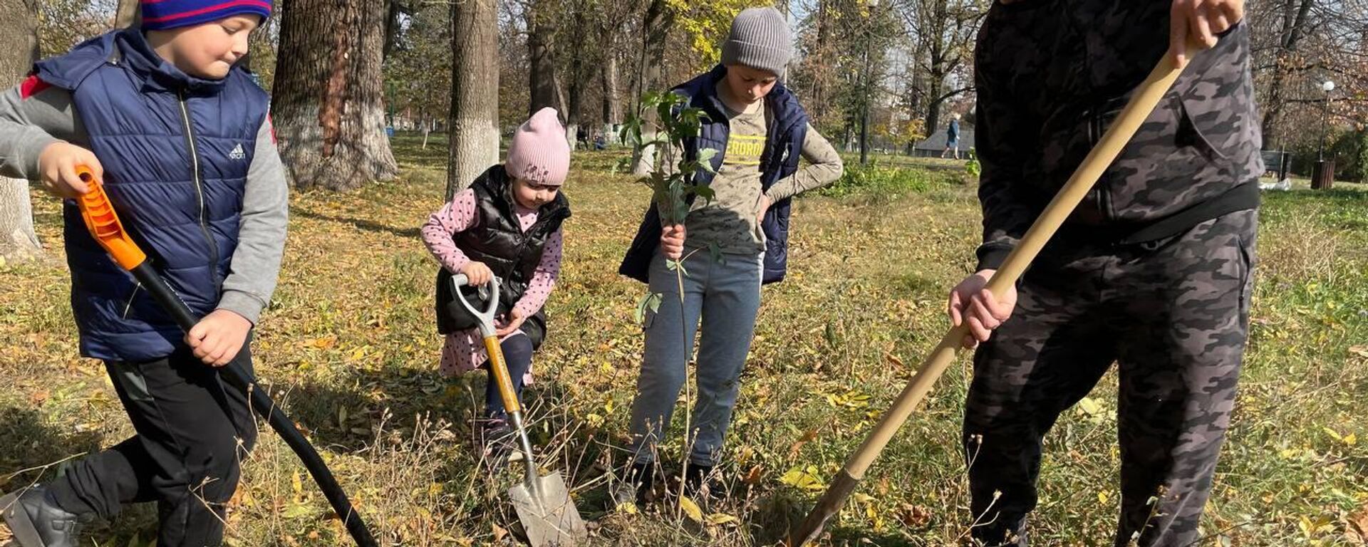 Акция по посадке деревьев ко Дню памяти жертв политических репрессий прошла во Владикавказе - Sputnik Южная Осетия, 1920, 30.10.2023