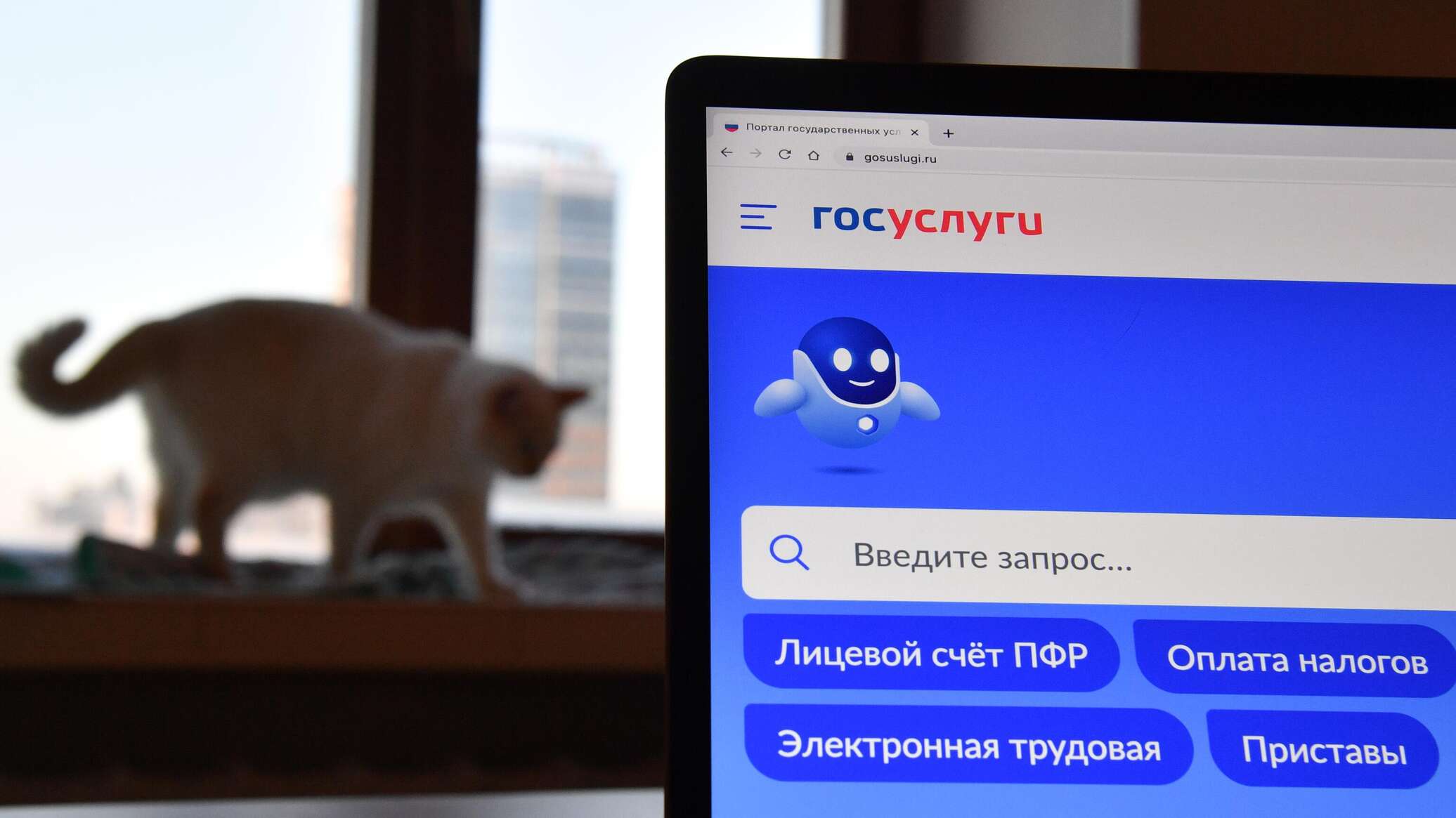 Жители Северной Осетии смогут решать коммунальные вопросы через ...