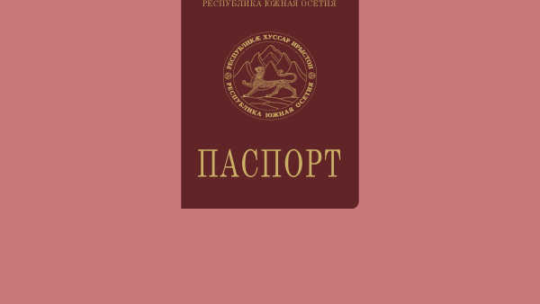 Как получить гражданство Южной Осетии - Sputnik Южная Осетия