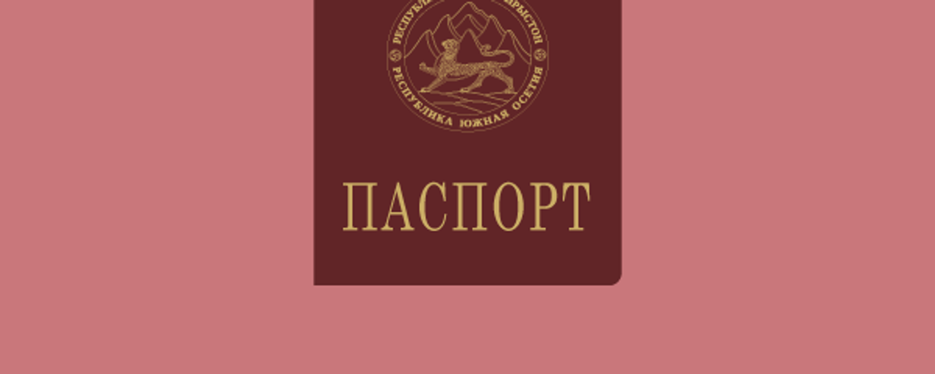 Как получить гражданство Южной Осетии - Sputnik Южная Осетия, 1920, 20.11.2023