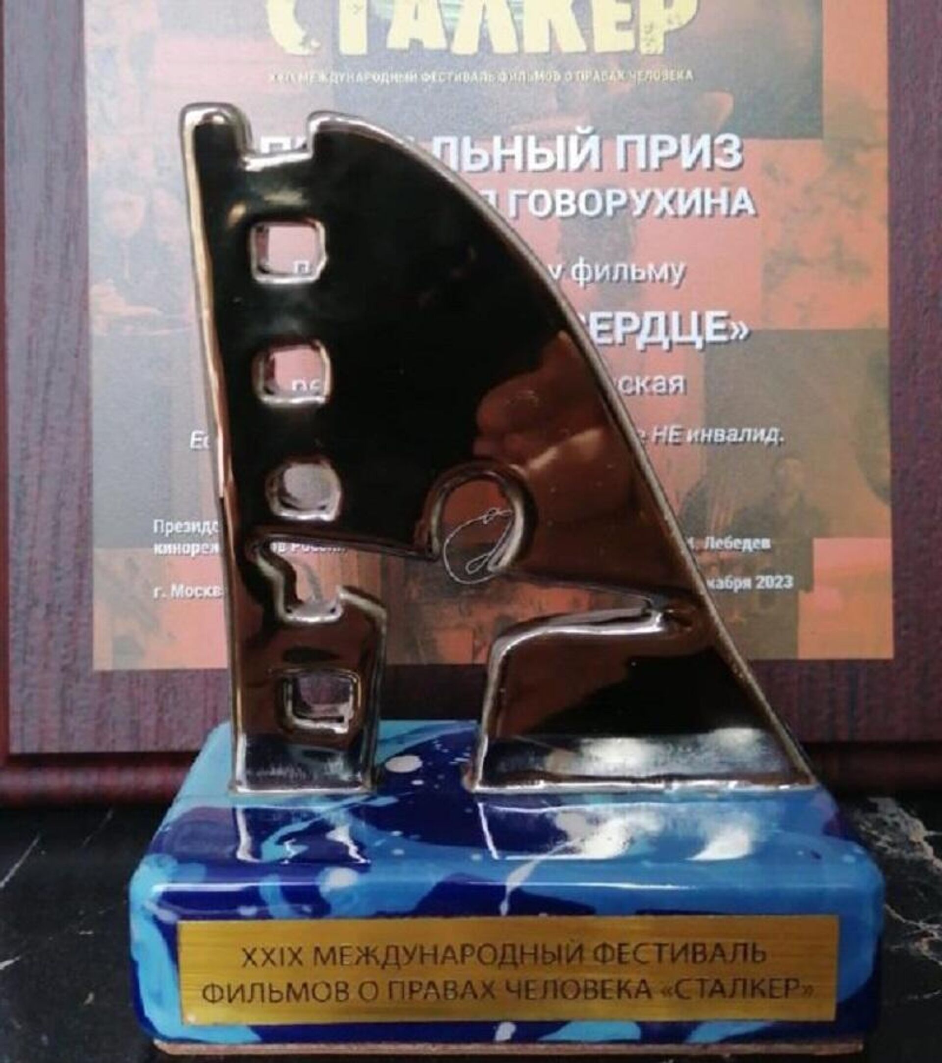 Режиссер из Южной Осетии выиграла специальный приз на Международном кинофестивале - Sputnik Южная Осетия, 1920, 16.12.2023
