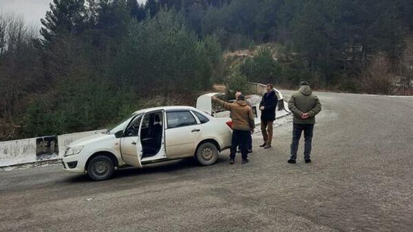 Сотрудники милиции проводят рейды по пресечению незаконной вырубки елок - Sputnik Южная Осетия
