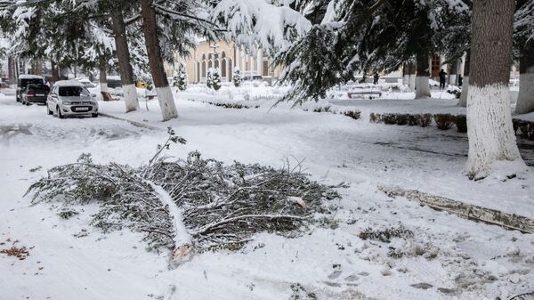 Последствия обильного снегопада в Цхинвале - Sputnik Южная Осетия