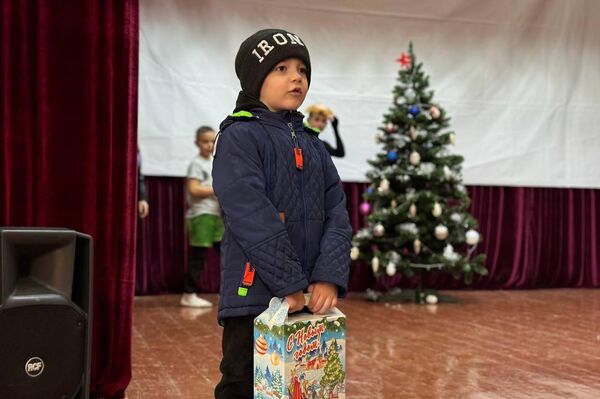 В Знаурском районе состоялось праздничное открытие новогодней елки - Sputnik Южная Осетия