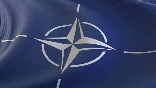 Будут пополнять свои склада: эксперт об очередной помощи НАТО Украине - Sputnik Южная Осетия